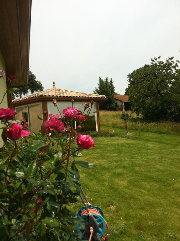 Le Clos Castel - Gite Equipe กาสเตลจาลูซ์ ภายนอก รูปภาพ